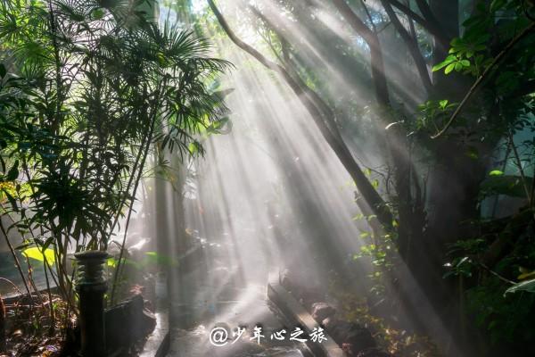 逗小猴开心系列170